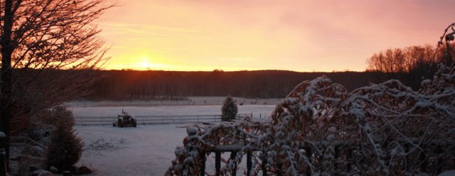 Gallery - Winter Sunrise in our back yard