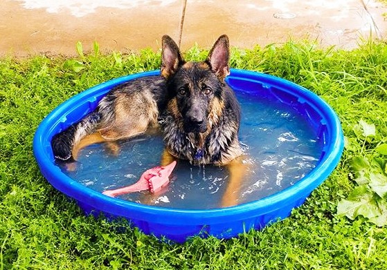 14257751_1210079265700486_1328554721372299013_o1-copy