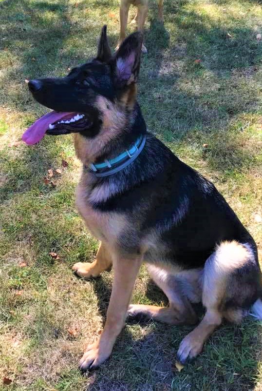 22281953_1797986006896817_5639416307533426672_n[3] (2)